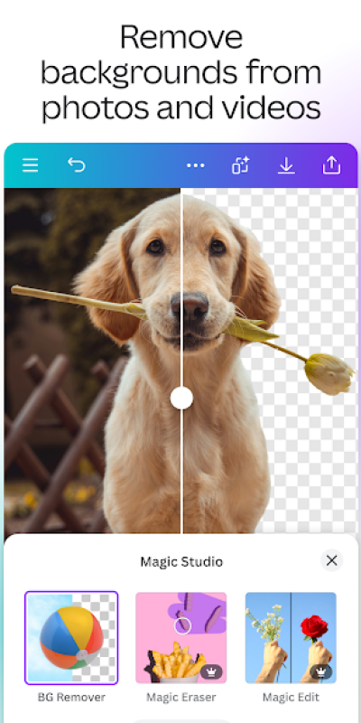 7image3